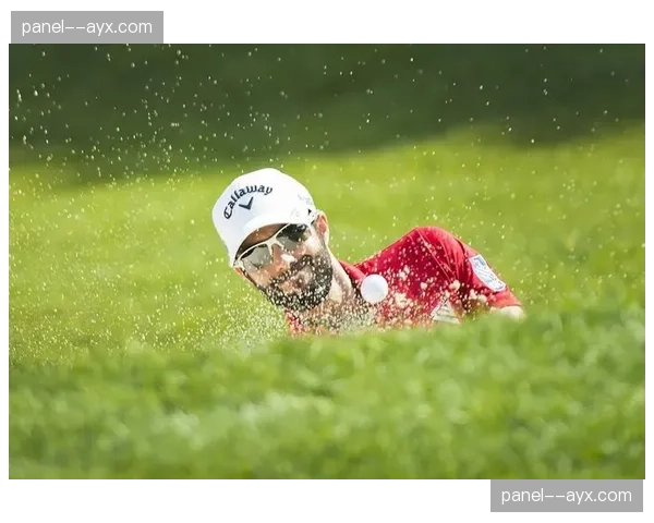 博彩公司更新奥运女垒夺冠赔率：美国持续领跑，日本紧追，加拿大成黑马