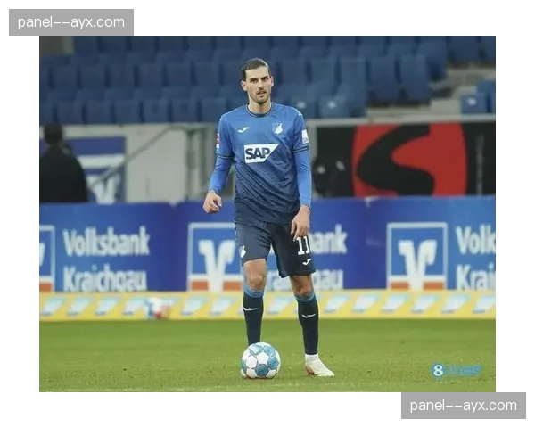 霍芬海姆体育总监谈论冬窗引援策略与保级目标