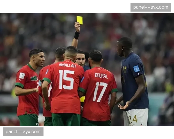 赛后声音：里尔主帅丰塞卡对裁判漏判点球表示强烈不满