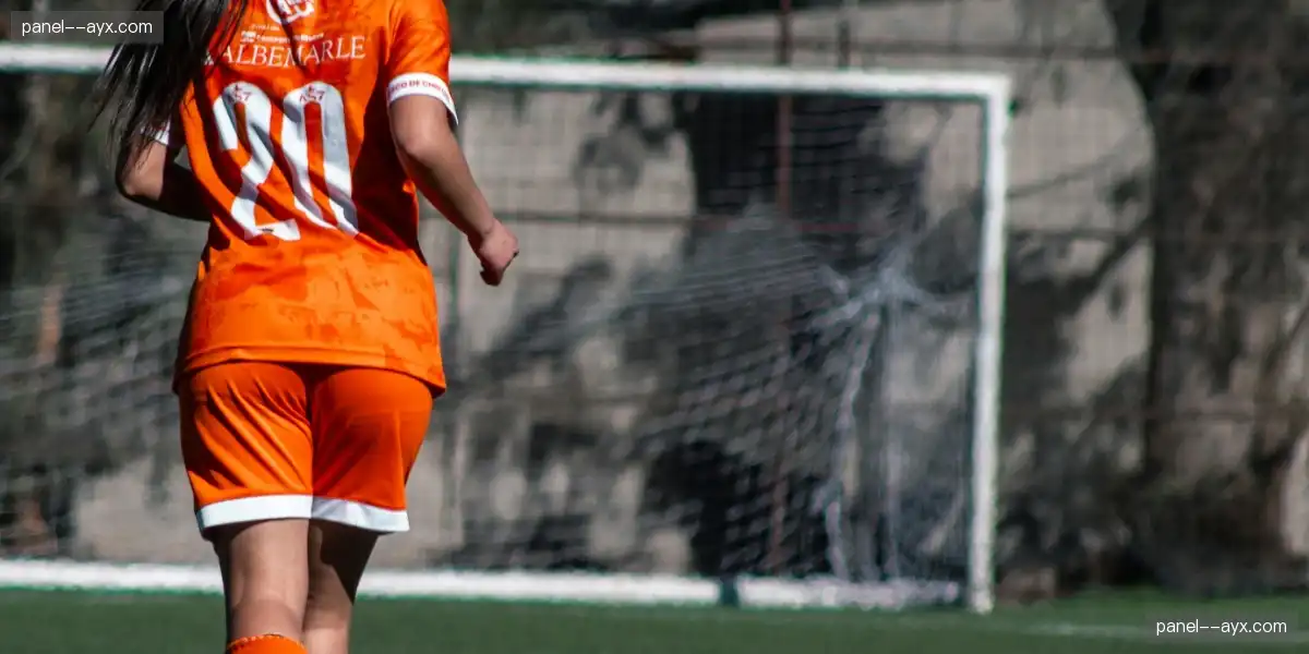 📺 8K HDR超清直播,真实感直逼现场,沉浸感无可挑剔!🎯